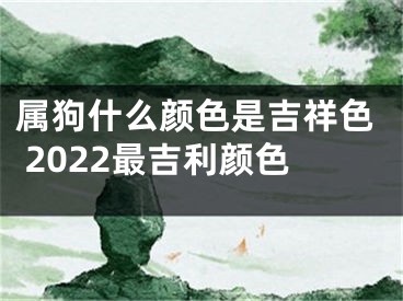 属狗什么颜色是吉祥色 2022最吉利颜色