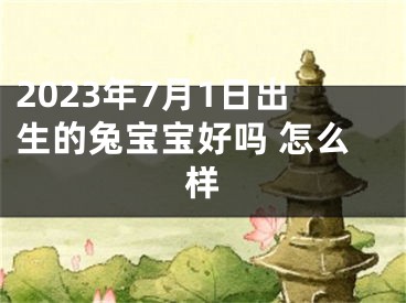 2023年7月1日出生的兔宝宝好吗 怎么样