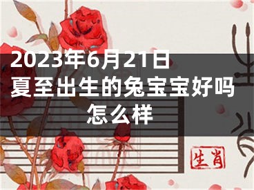 2023年6月21日夏至出生的兔宝宝好吗 怎么样