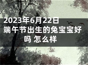 2023年6月22日端午节出生的兔宝宝好吗 怎么样