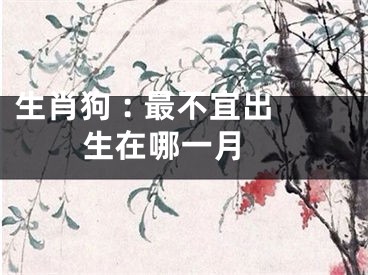 生肖狗 : 最不宜出生在哪一月 