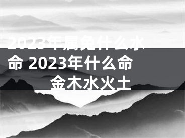 2023年属兔什么水命 2023年什么命金木水火土