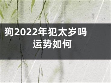 狗2022年犯太岁吗 运势如何