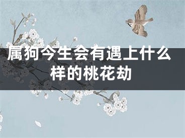 属狗今生会有遇上什么样的桃花劫