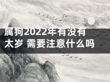 属狗2022年有没有太岁 需要注意什么吗