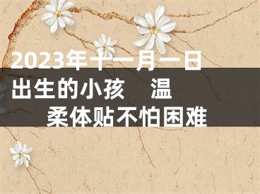 2023年十一月一日出生的小孩    温柔体贴不怕困难