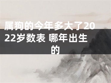 属狗的今年多大了2022岁数表 哪年出生的