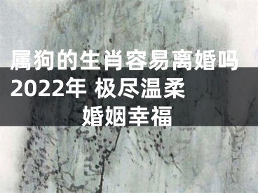 属狗的生肖容易离婚吗2022年 极尽温柔婚姻幸福