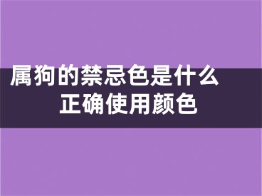 属狗的禁忌色是什么 正确使用颜色