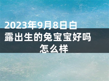2023年9月8日白露出生的兔宝宝好吗 怎么样