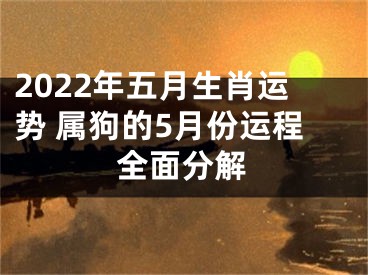2022年五月生肖运势 属狗的5月份运程全面分解