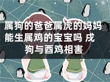 属狗的爸爸属虎的妈妈能生属鸡的宝宝吗 戌狗与酉鸡相害