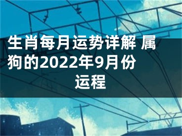 生肖每月运势详解 属狗的2022年9月份运程