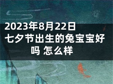2023年8月22日七夕节出生的兔宝宝好吗 怎么样
