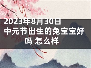 2023年8月30日中元节出生的兔宝宝好吗 怎么样