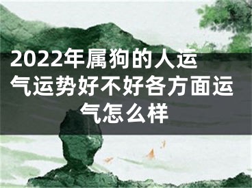 2022年属狗的人运气运势好不好各方面运气怎么样