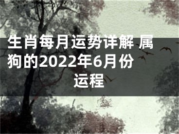 生肖每月运势详解 属狗的2022年6月份运程