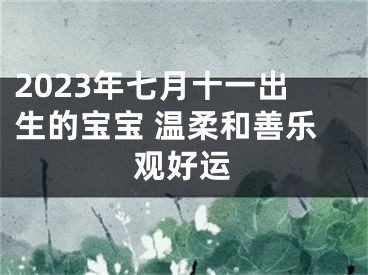 2023年七月十一出生的宝宝 温柔和善乐观好运
