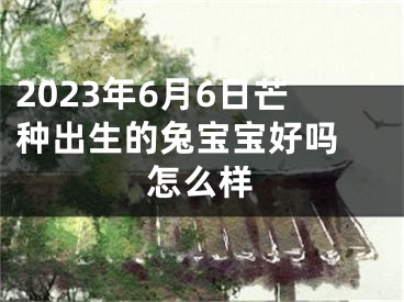 2023年6月6日芒种出生的兔宝宝好吗 怎么样