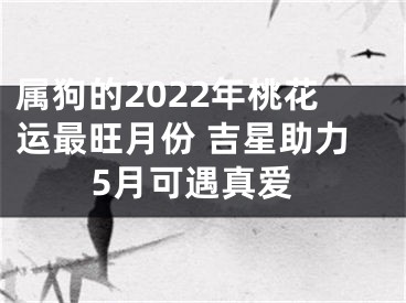 属狗的2022年桃花运最旺月份 吉星助力5月可遇真爱