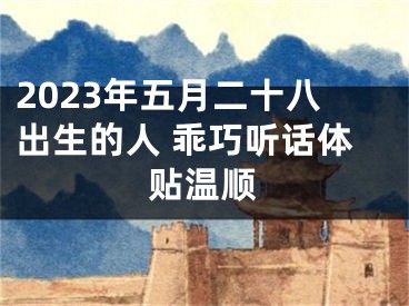 2023年五月二十八出生的人 乖巧听话体贴温顺