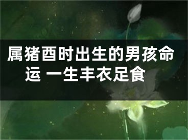 属猪酉时出生的男孩命运 一生丰衣足食