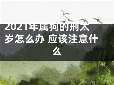 2021年属狗的刑太岁怎么办 应该注意什么
