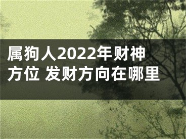 属狗人2022年财神方位 发财方向在哪里