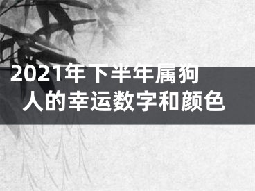 2021年下半年属狗人的幸运数字和颜色