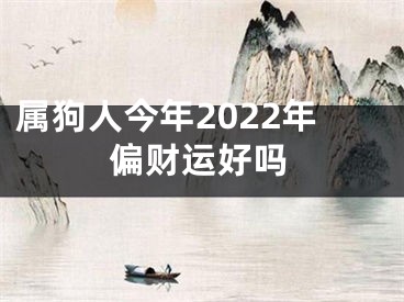 属狗人今年2022年偏财运好吗