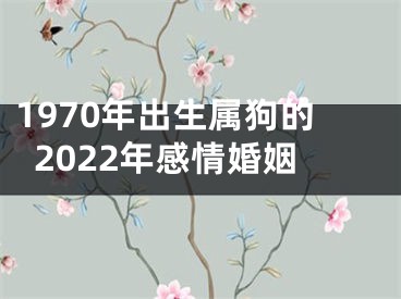 1970年出生属狗的2022年感情婚姻