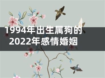 1994年出生属狗的2022年感情婚姻
