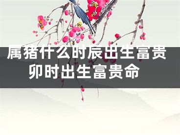 属猪什么时辰出生富贵 卯时出生富贵命