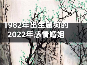1982年出生属狗的2022年感情婚姻