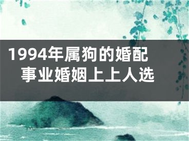 1994年属狗的婚配 事业婚姻上上人选