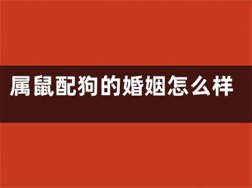 属鼠配狗的婚姻怎么样