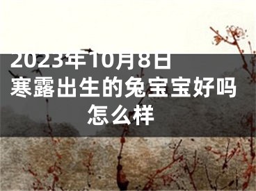 2023年10月8日寒露出生的兔宝宝好吗 怎么样
