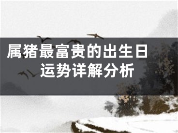 属猪最富贵的出生日 运势详解分析