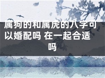 属狗的和属虎的八字可以婚配吗 在一起合适吗