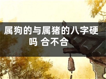 属狗的与属猪的八字硬吗 合不合