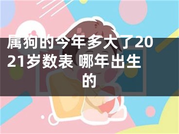 属狗的今年多大了2021岁数表 哪年出生的