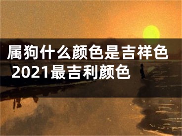 属狗什么颜色是吉祥色 2021最吉利颜色
