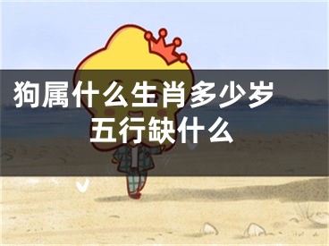 狗属什么生肖多少岁 五行缺什么