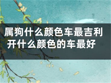属狗什么颜色车最吉利 开什么颜色的车最好