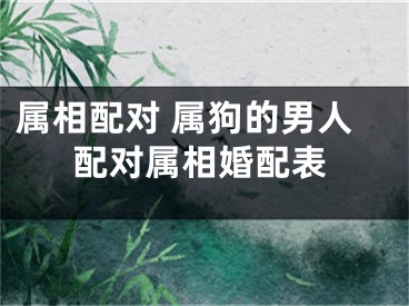 属相配对 属狗的男人配对属相婚配表