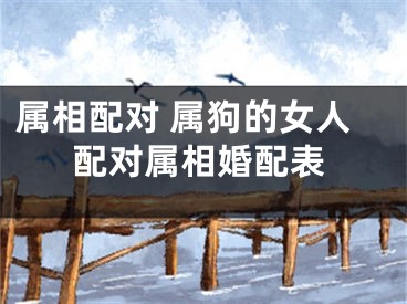 属相配对 属狗的女人配对属相婚配表