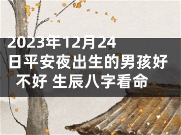 2023年12月24日平安夜出生的男孩好不好 生辰八字看命