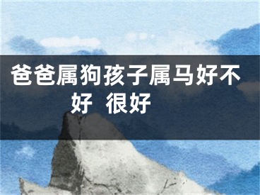 爸爸属狗孩子属马好不好  很好