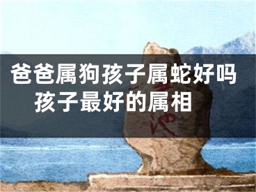 爸爸属狗孩子属蛇好吗  孩子最好的属相