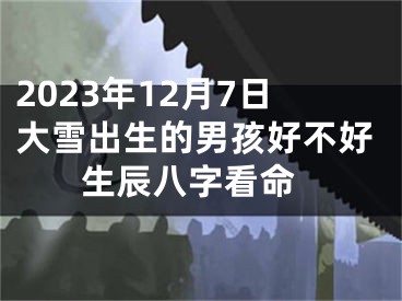 2023年12月7日大雪出生的男孩好不好 生辰八字看命